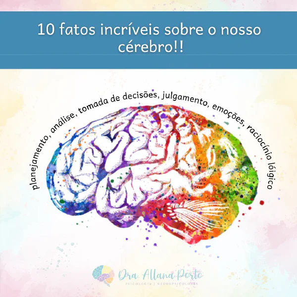 🧠 As protuberâncias e concavidades que permeiam o cérebro humano, chamadas de...