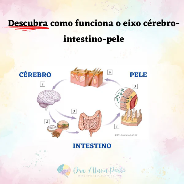 🧠 Ainda sobre a influência do eixo intestino-cérebro sobre a pele... 🧠 Esse são...